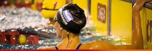 vicky bardach banner