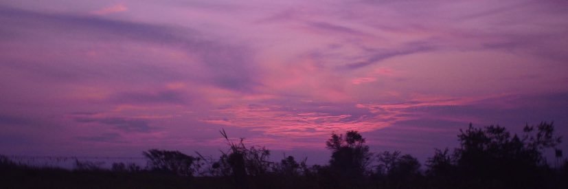 hira_ozlu's profile banner image