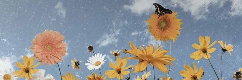 Ang__rost's profile banner image