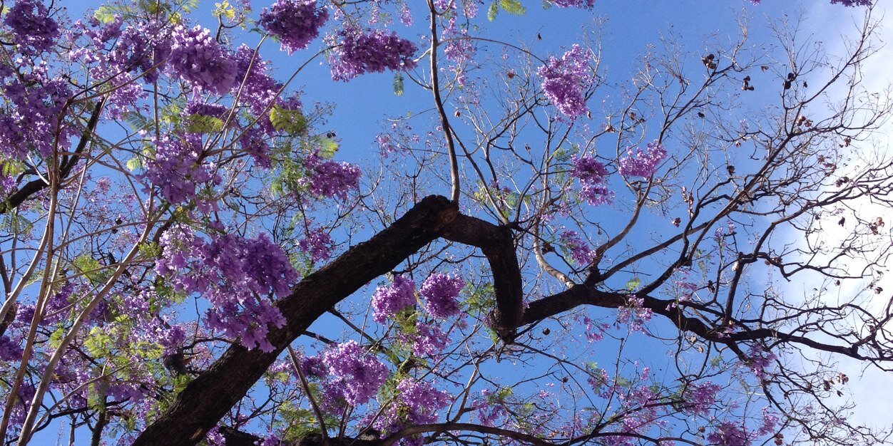 labiosdmenta's profile banner image