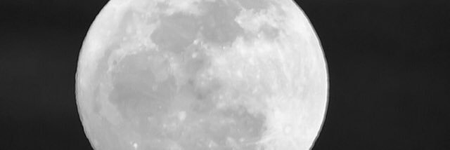 sharkwii's profile banner image