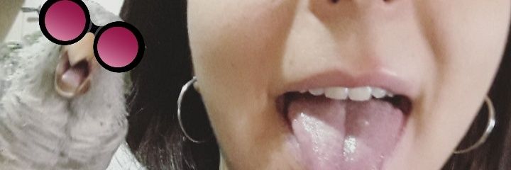 MdeFe15's profile banner image