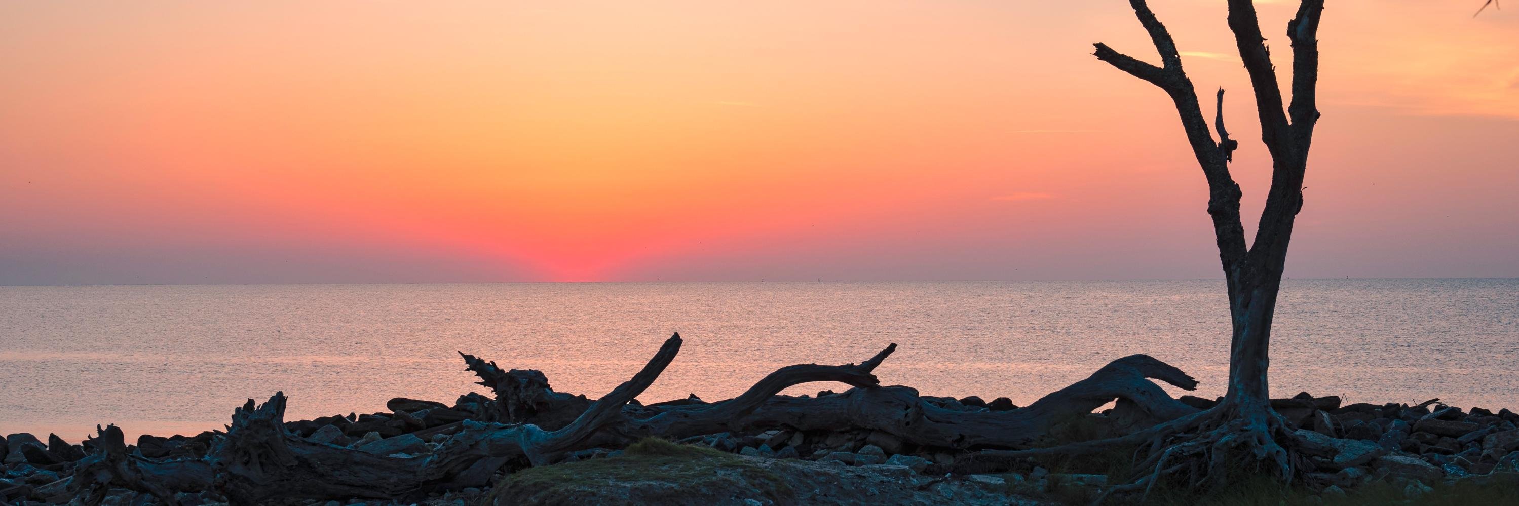 htmccann's profile banner image
