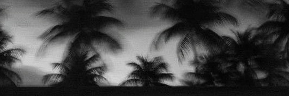 R banner