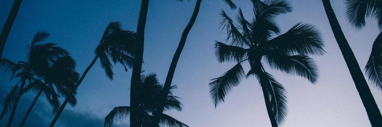 4shorecreative's profile banner image