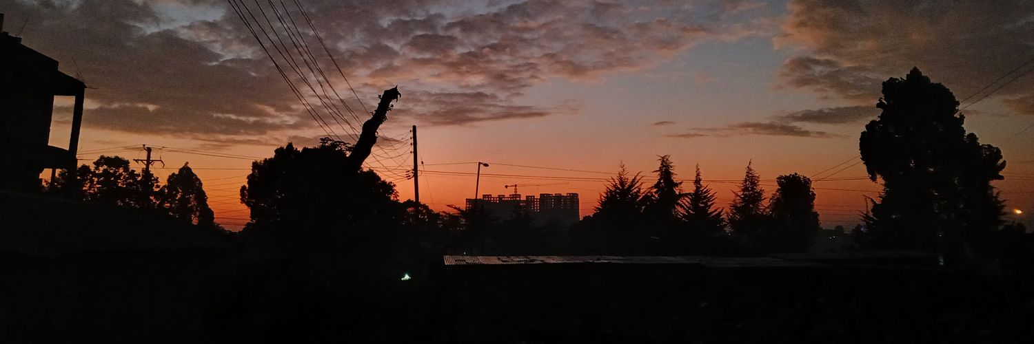 Qoey_M's profile banner image