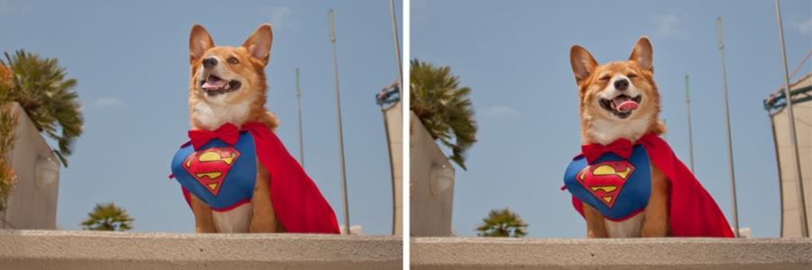 CleverNWitty's profile banner image