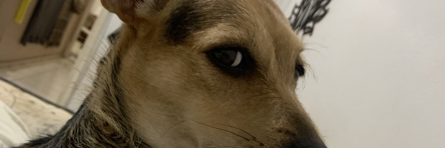 giulia_site's profile banner image