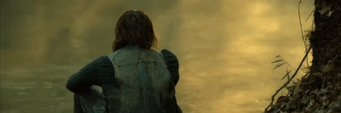 ediz banner