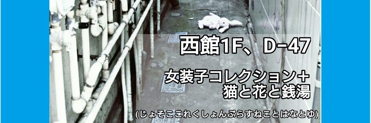 トモモ♀(ともねぇ)絵とか写真のヒト🧸🇯🇵 banner