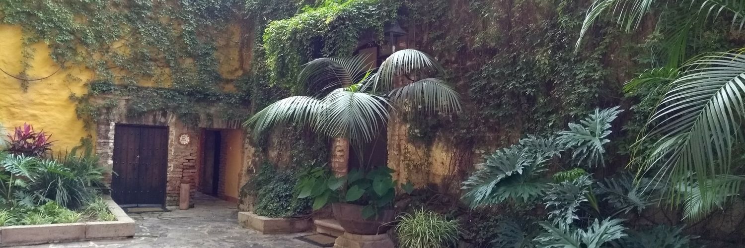 sovfrancisco's profile banner image