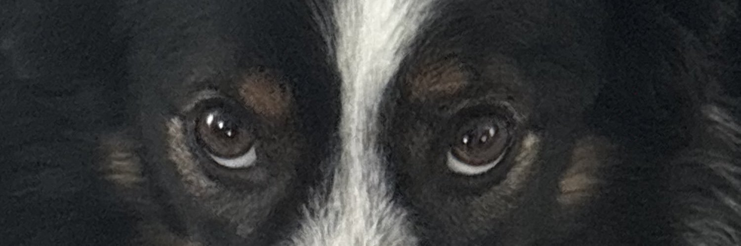 GetGot01's profile banner image