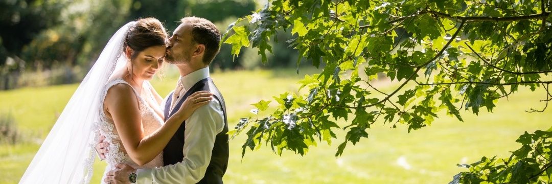 Alexandra Partner banner