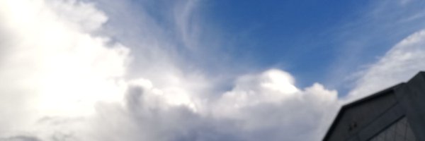 PSIMAC211 Profile Banner