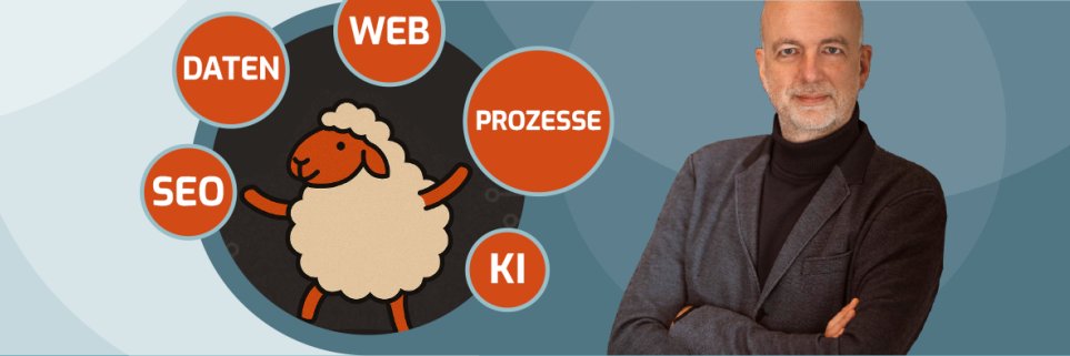 Sönke Schäfer (Datenschäfer) banner