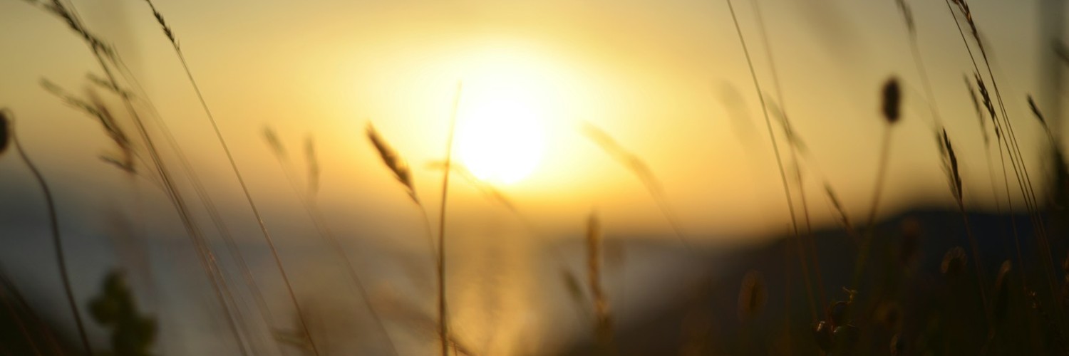iafineden's profile banner image