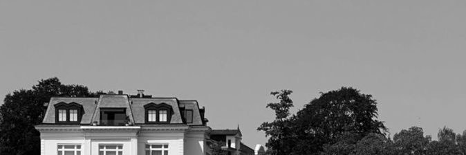 Potraimes's profile banner image