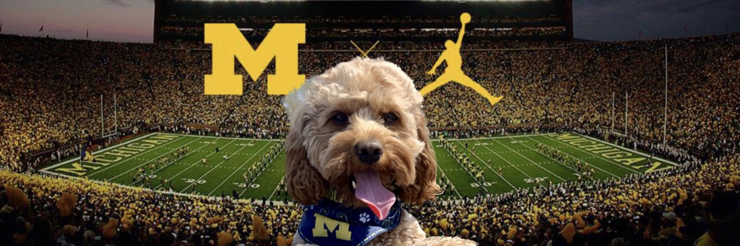MaizeWolverine's profile banner image