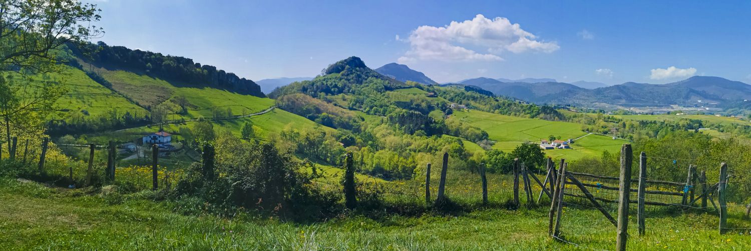Cris Odriozola banner