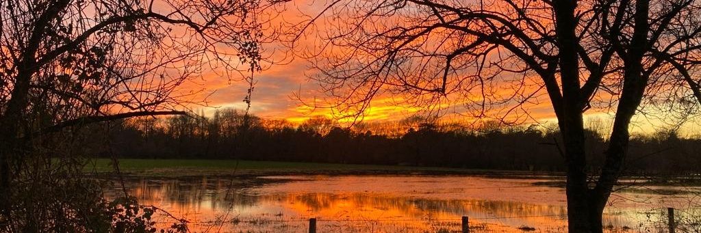 H34vyMel's profile banner image