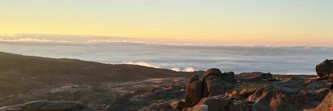 phoebebuffey's profile banner image