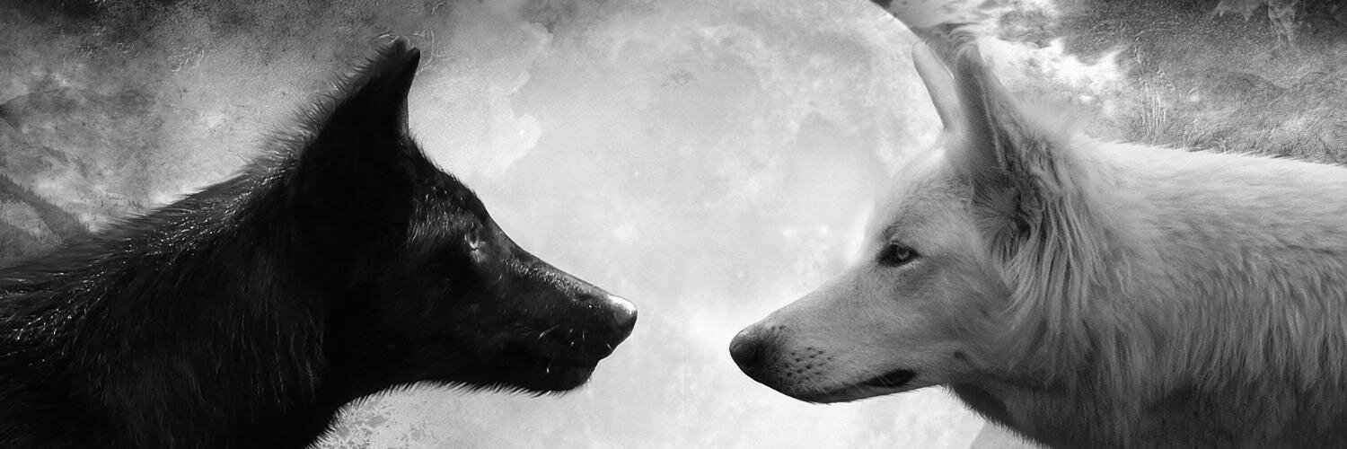 ColtBrake's profile banner image