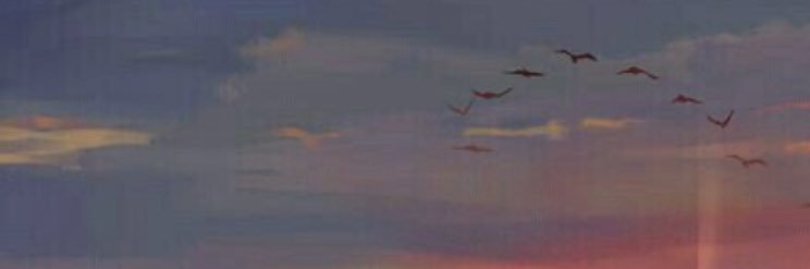 hfc99_w's profile banner image