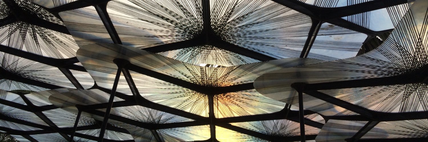 Sarah Nicole Lee banner