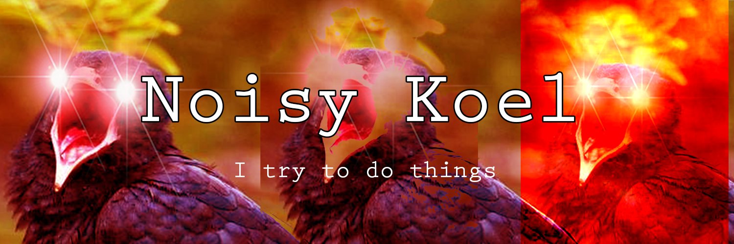 NoisyKoel's profile banner image