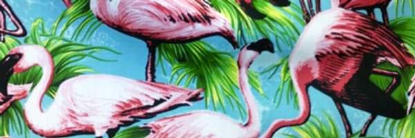 seanasdfalsk Profile Banner