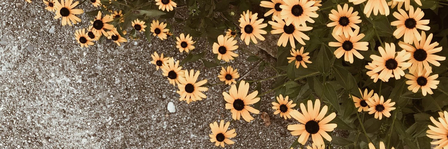 corinnelizzy's profile banner image