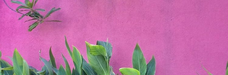 Vero Vazquez banner