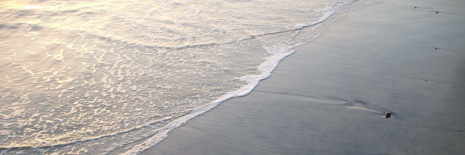 dlytranquility's profile banner image