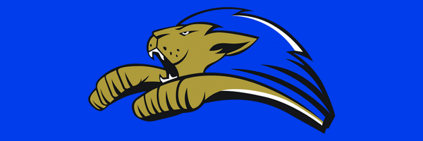 GoRoyalLions Profile Banner