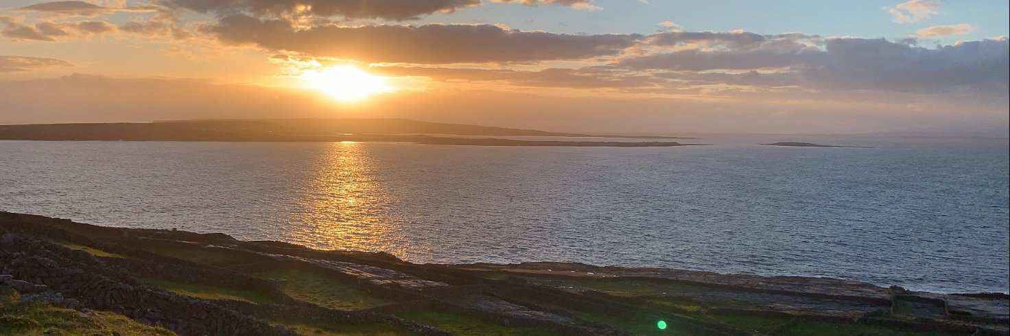 Aedín Ní Thiarnaigh banner