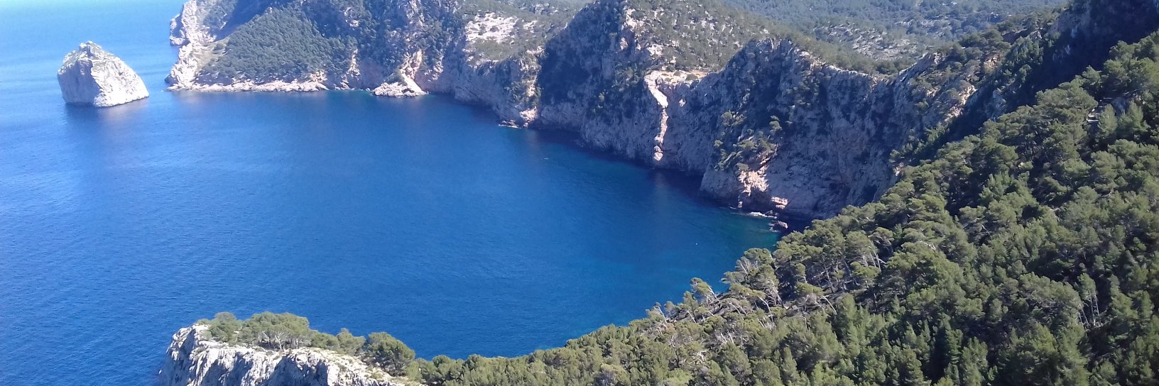 Guillaume Lagnel banner