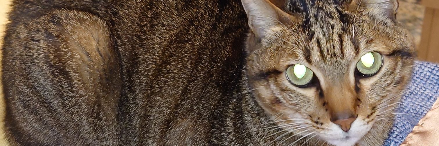 GhosteeK's profile banner image