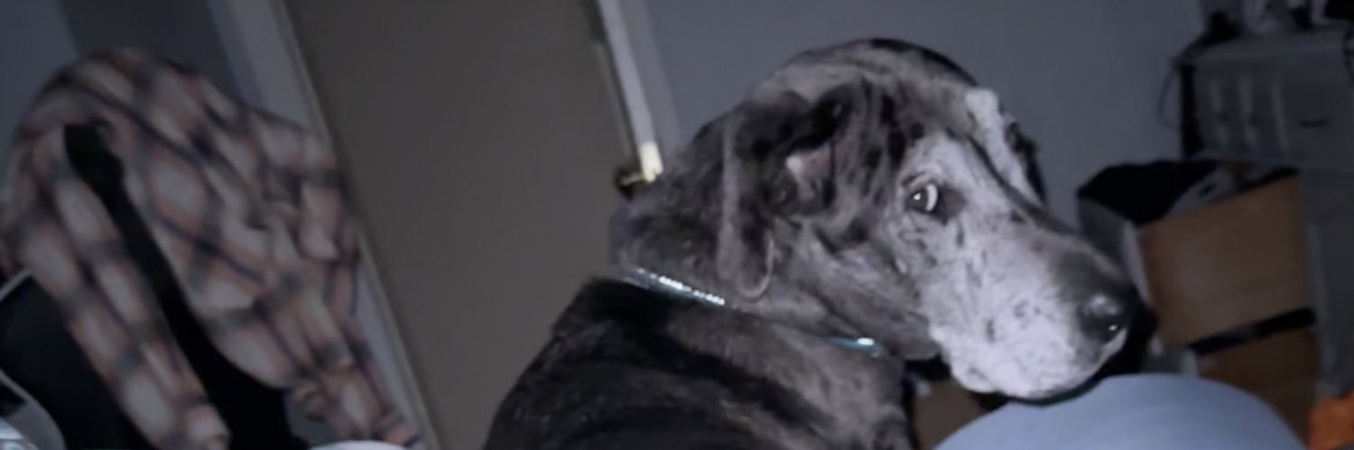 PaceKristy's profile banner image
