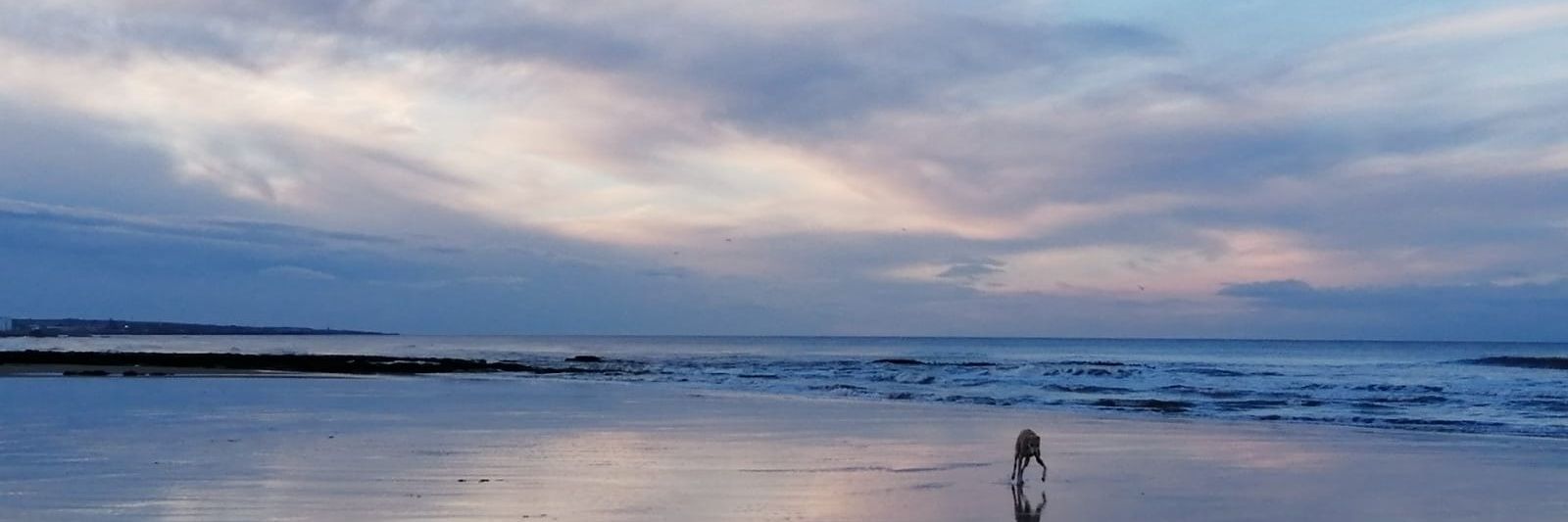 Melantoinette_'s profile banner image