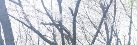 mjmeanto's profile banner image