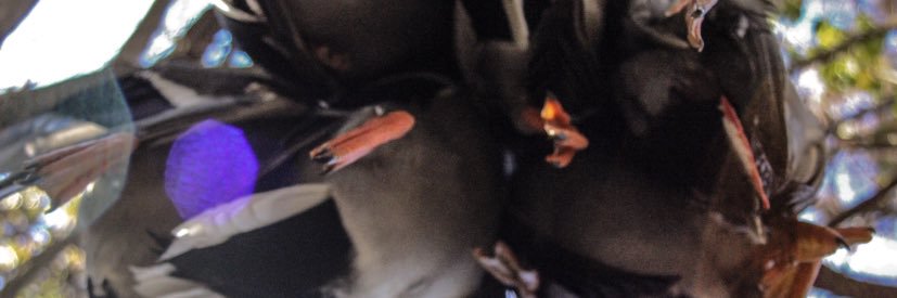 AddParker14's profile banner image