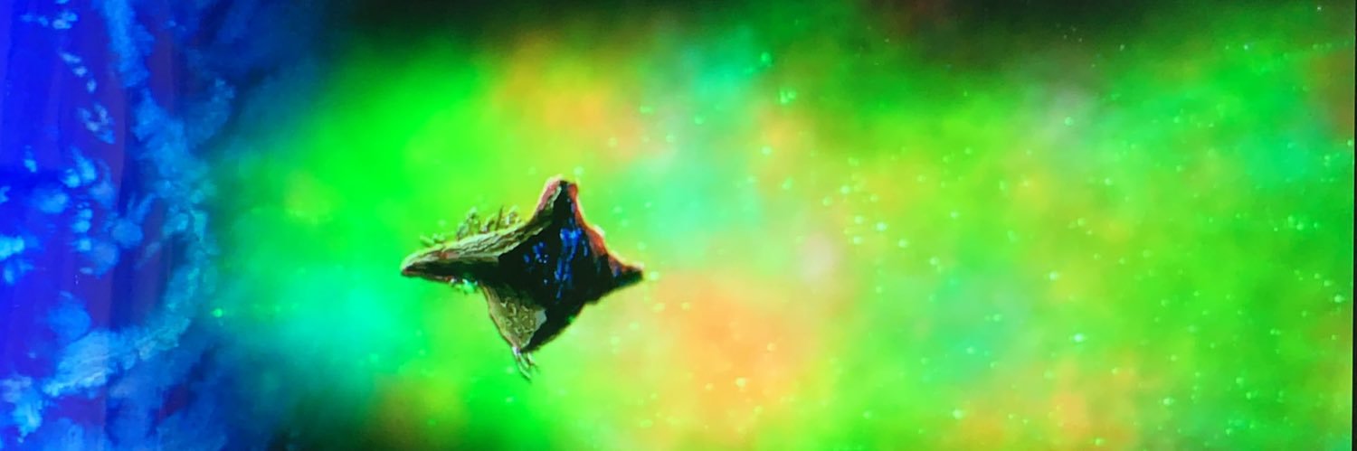 びーつん・安武呂 banner