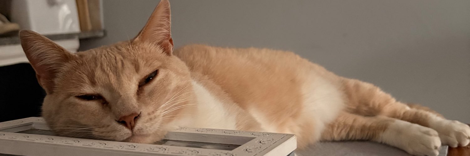 celescabanne's profile banner image