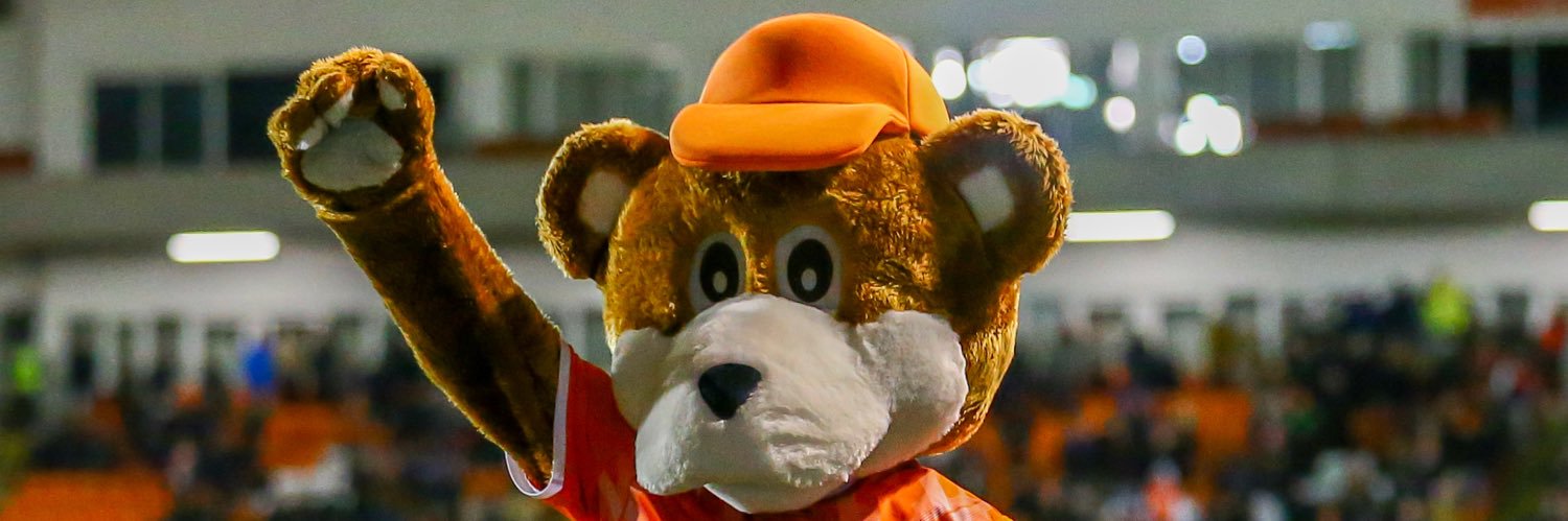 Bloomfield Bear banner