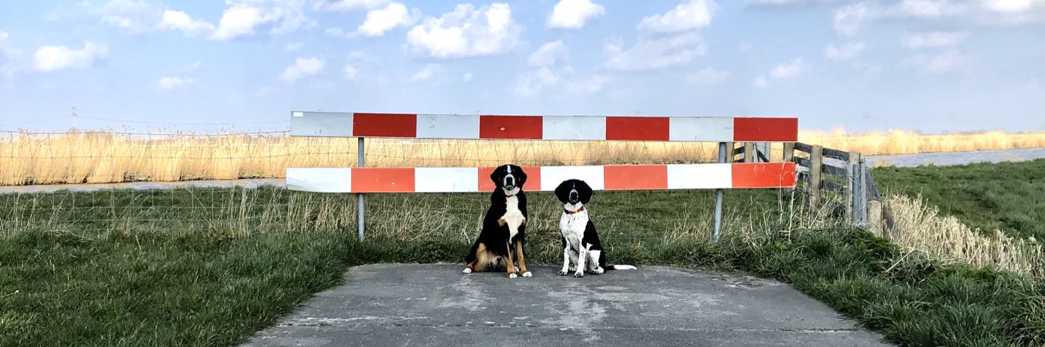 Auke Piet vd Meulen banner
