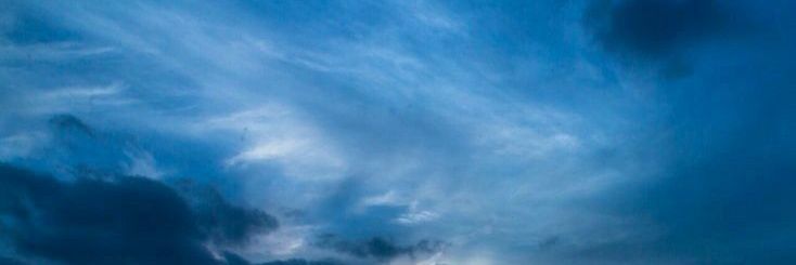 callixngs's profile banner image