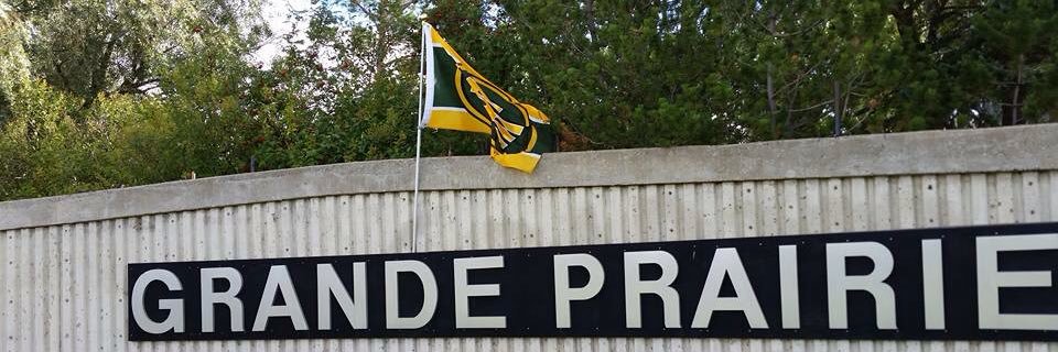 SectionGP's profile banner image