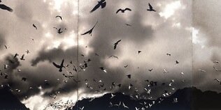 triptychads's profile banner image