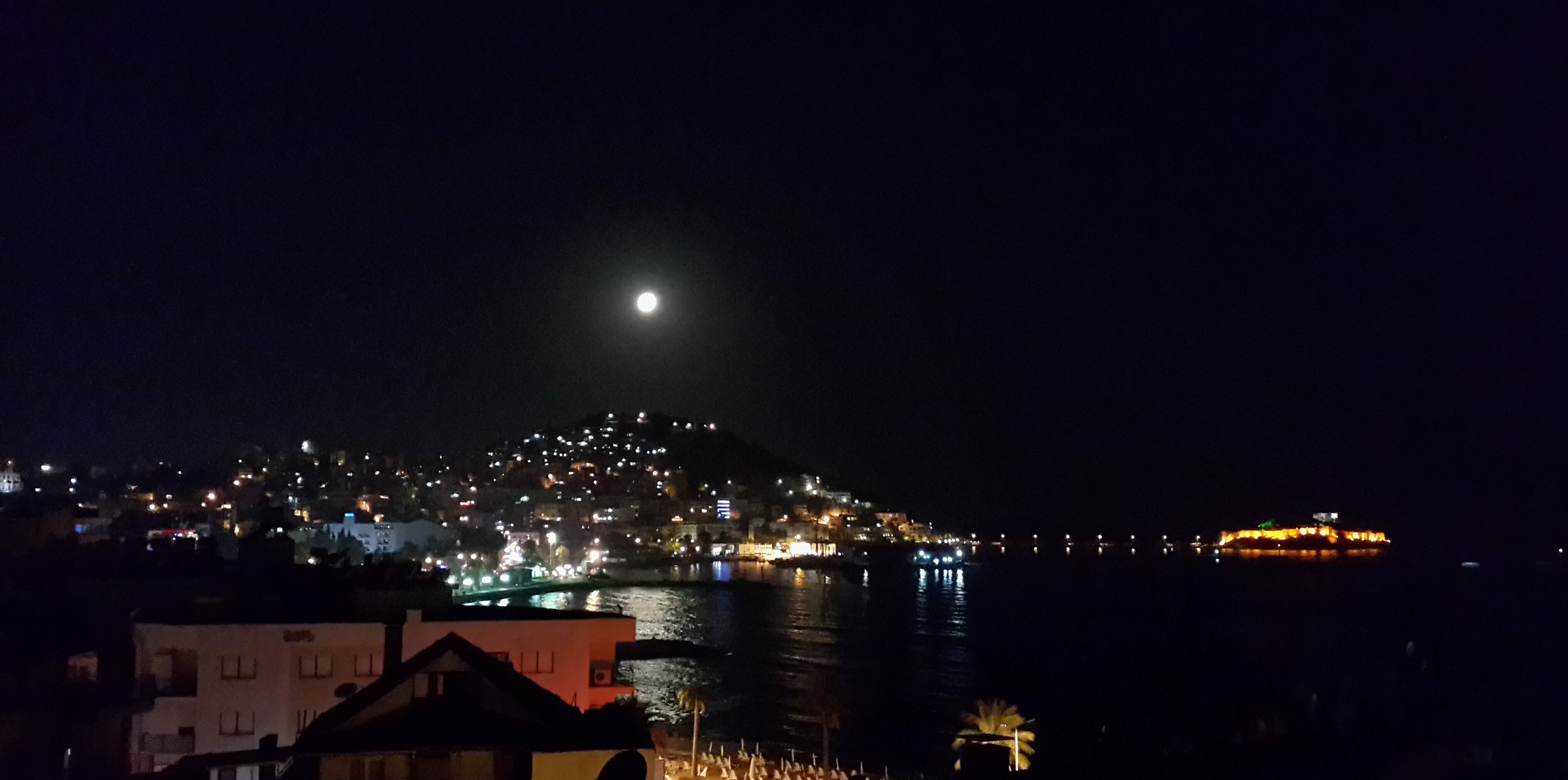 Ümit Aykut Aktaş🐢🦀😼🌈 banner