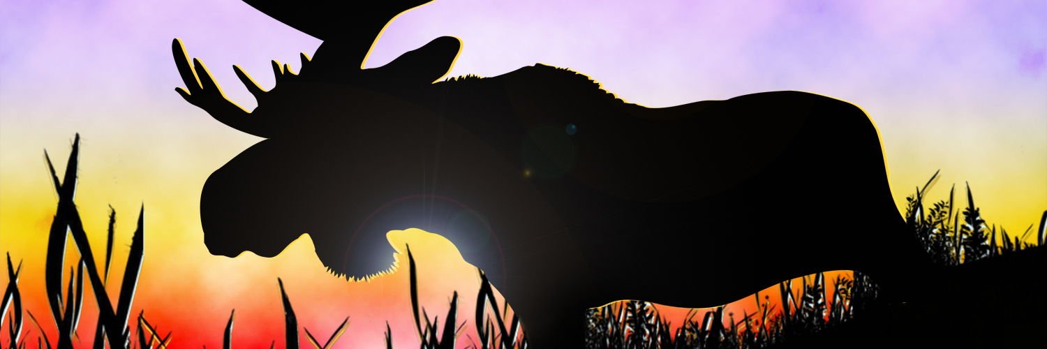 RedMooseJoe's profile banner image